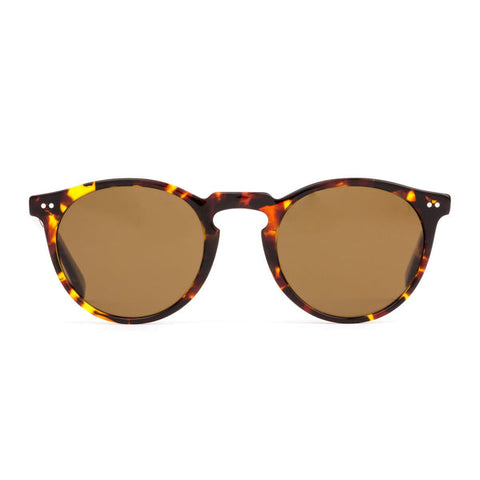 OMAR Eco Havana Sun / Brown Polar